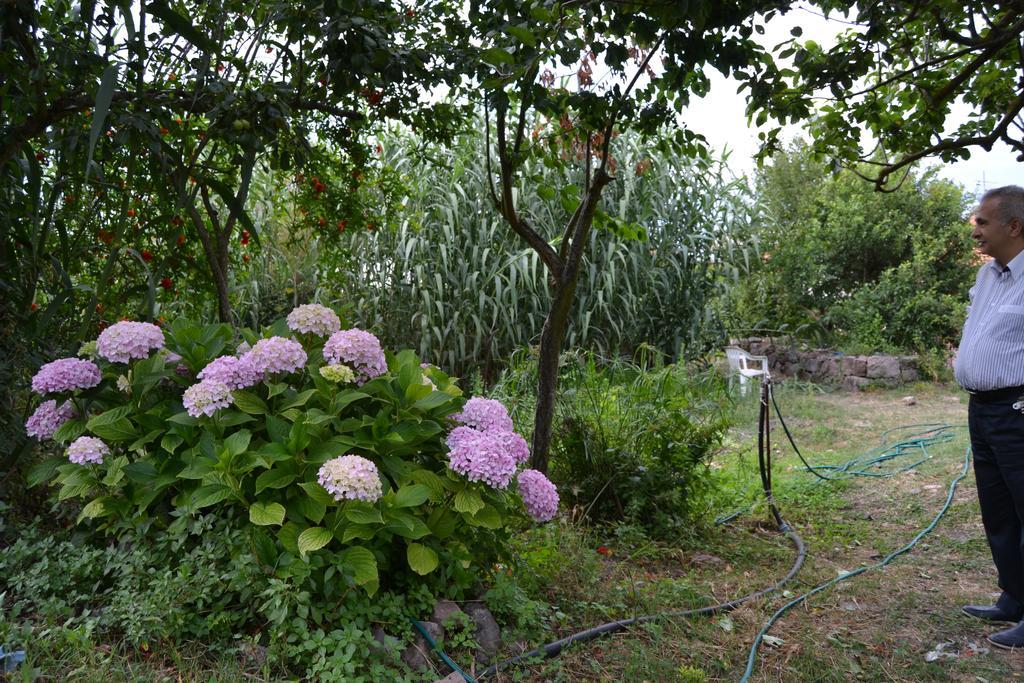 Su Cantaru Guesthouse 빌라노바 몬텔레오네 외부 사진